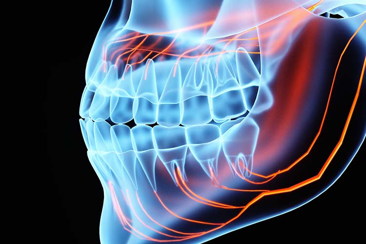 治療を開始前に治療終了までの動きを3D画像で確認イメージ